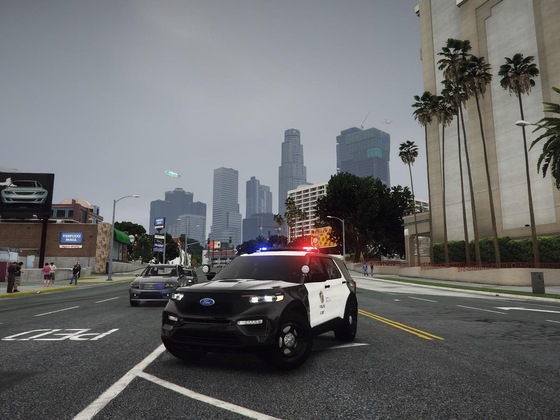 Finished my 2020 LAPD FPIU