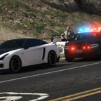 SAHP Traffic Stop