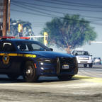 New York State Police 1T10