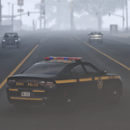 New York State Police 1T10