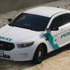 New York State Park Police Ford Taurus
