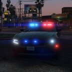 LSPD Metro Charger